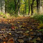 Pod Stożkiem * Sokolowsko
