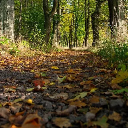 Pod Stozkiem * Sokolowsko
