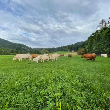 Pod Stozkiem Sokolowsko
