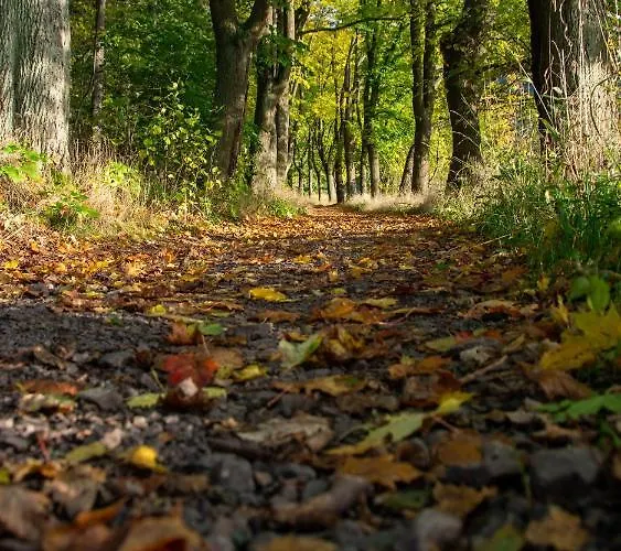 Pod Stozkiem * Sokolowsko