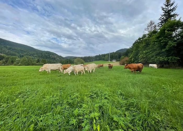 Pod Stozkiem Sokolowsko